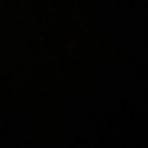 Meet your Posher, Cooper